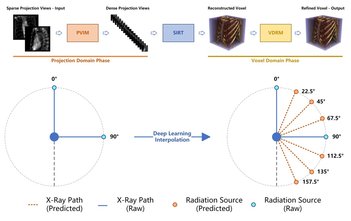 Teaser for Reconstructing 3D Voxels from Ultra-sparse-view 2D X-ray Images Using a Dual-domain Balanced Network